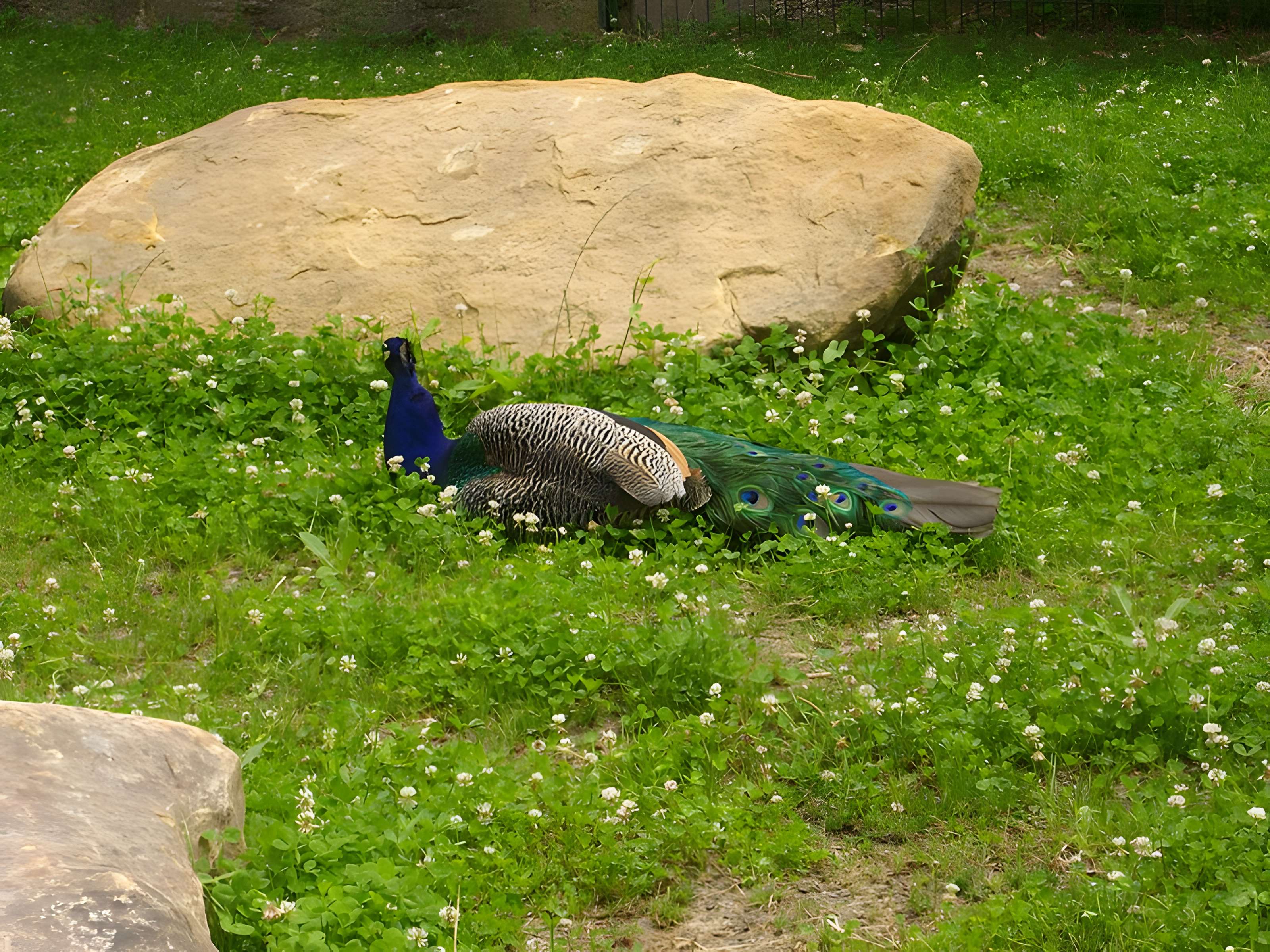 Parc floral de la Source