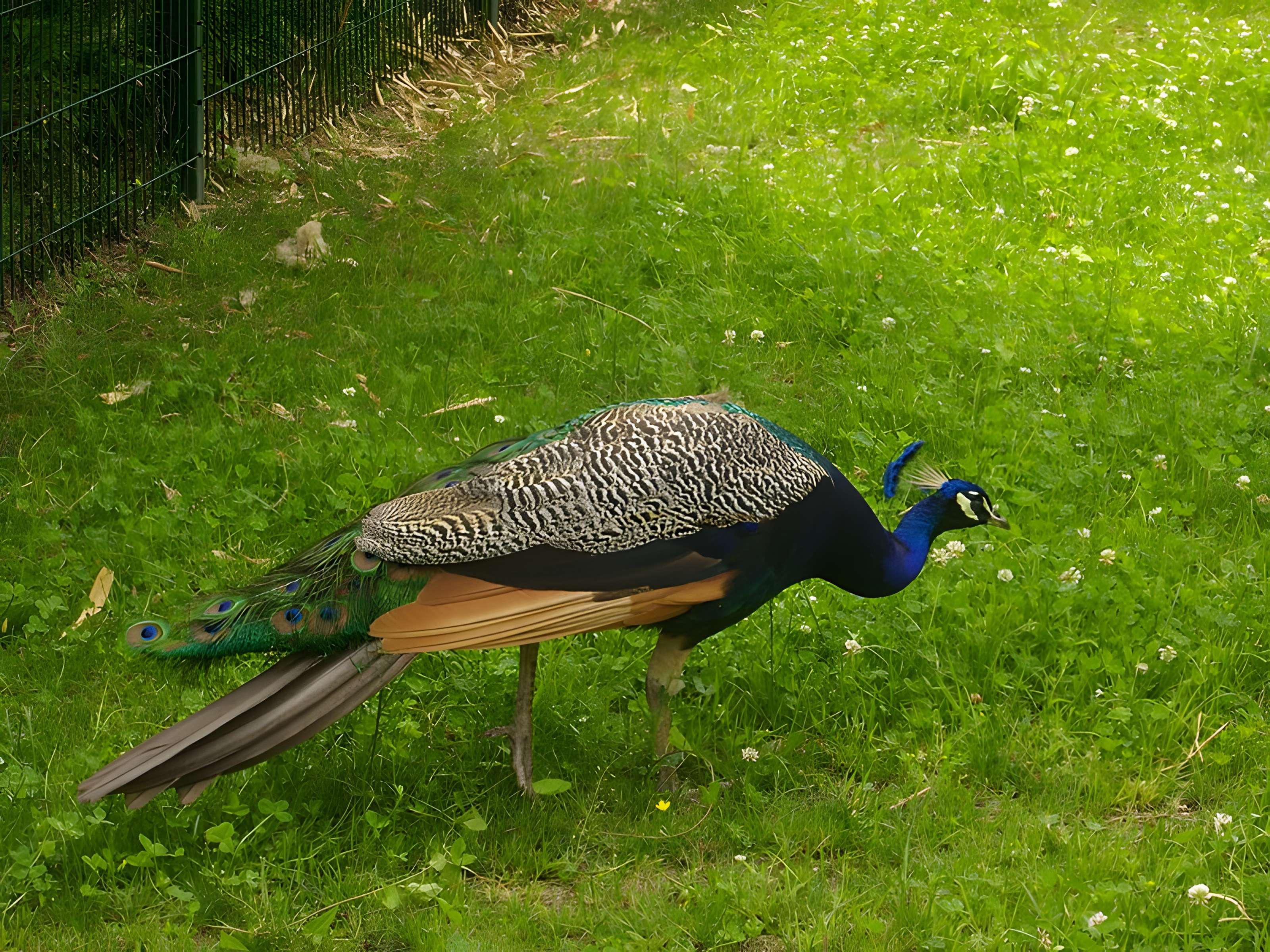 Parc floral de la Source