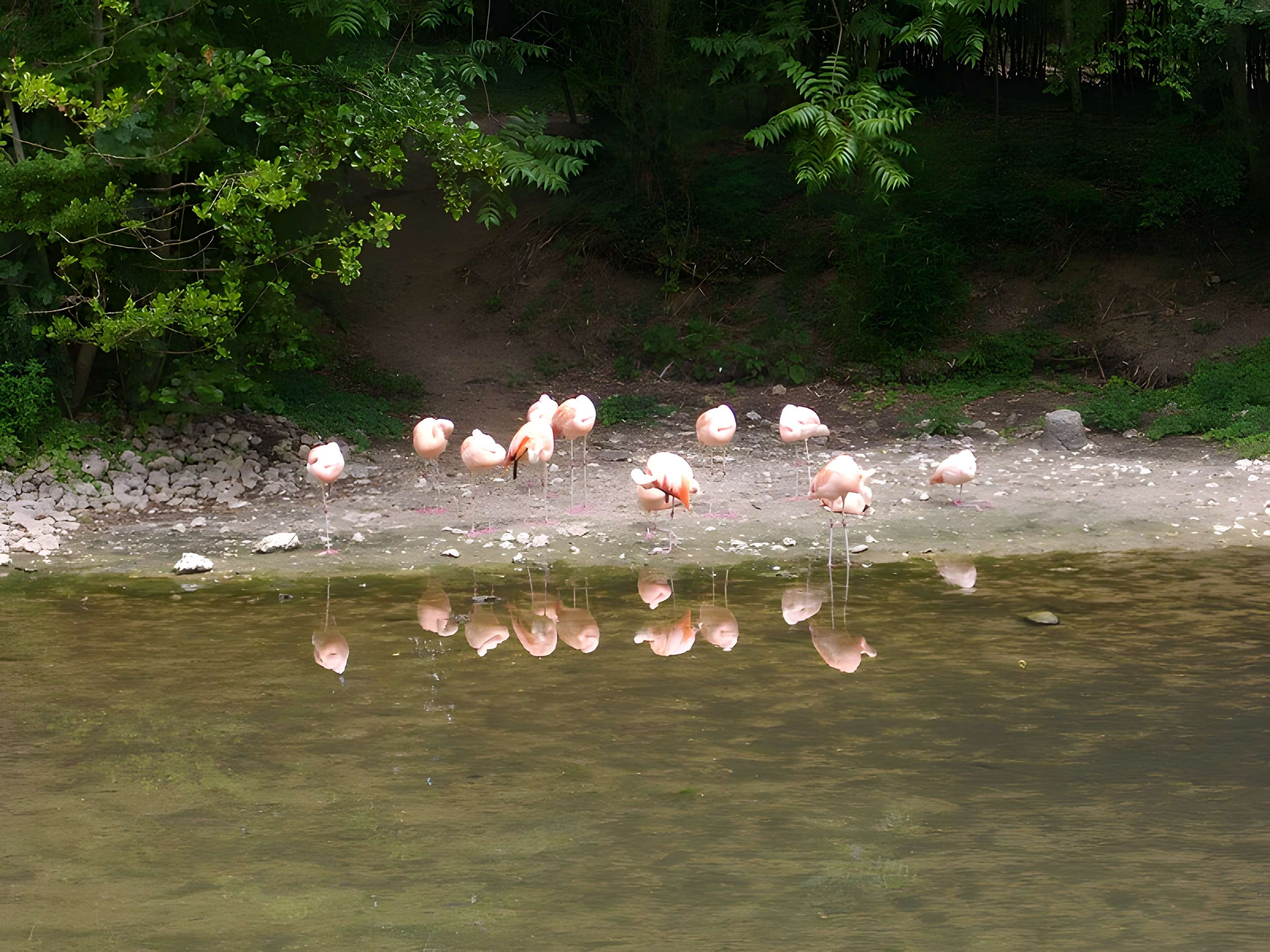 Parc floral de la Source