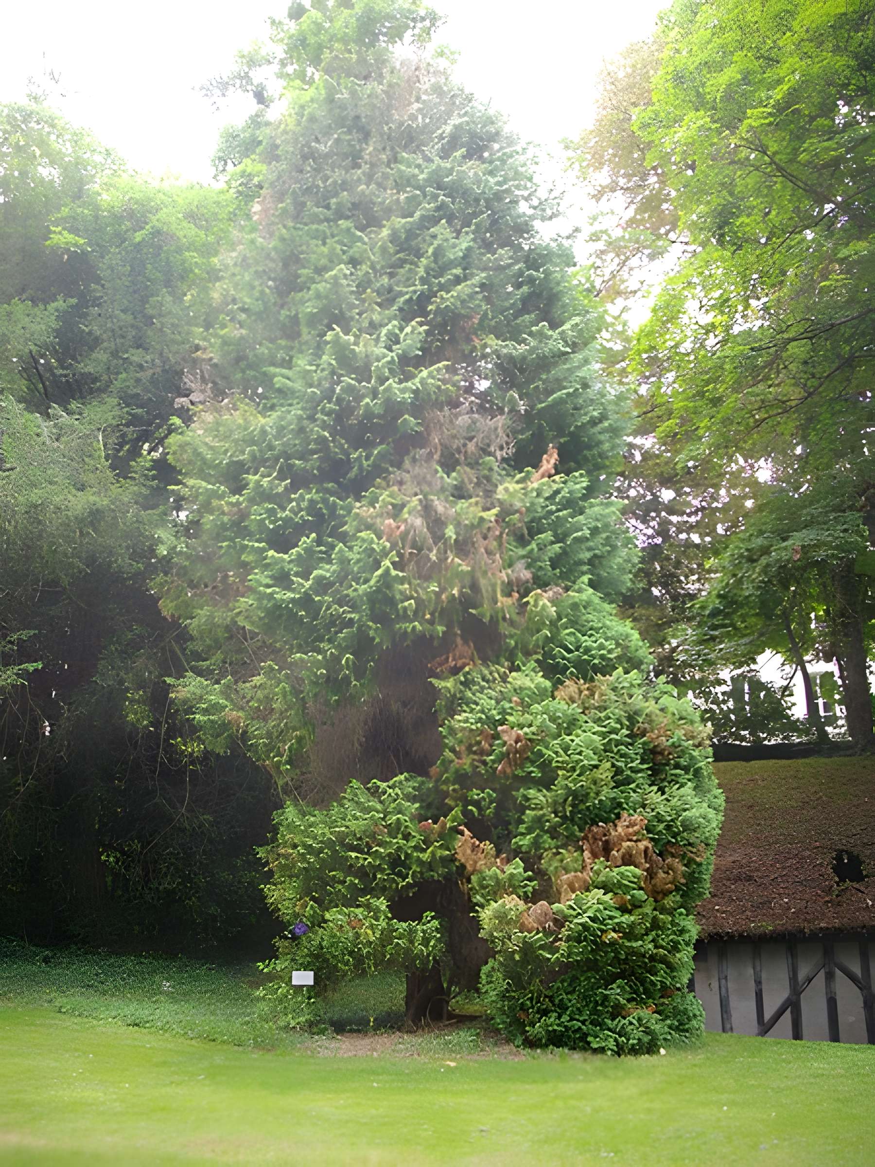 Parc floral de la Source