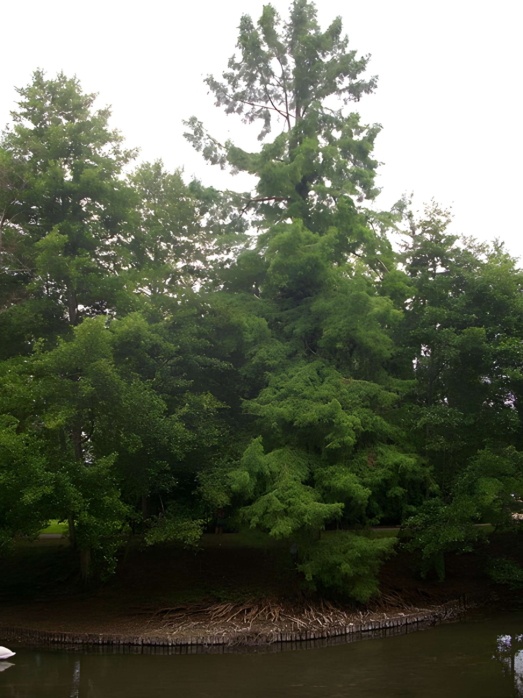 Parc floral de la Source