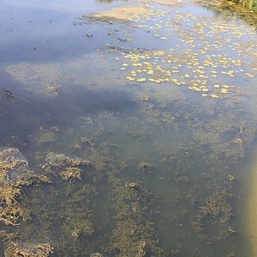 Pont-canal sur la Loire