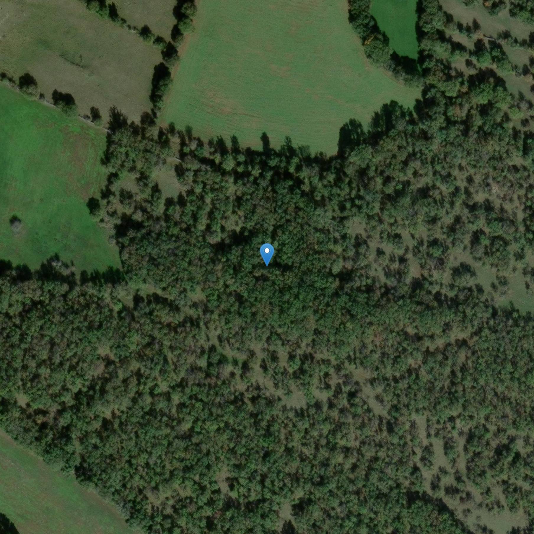 Photo de 多尔门德罗克考古遗址 第2号