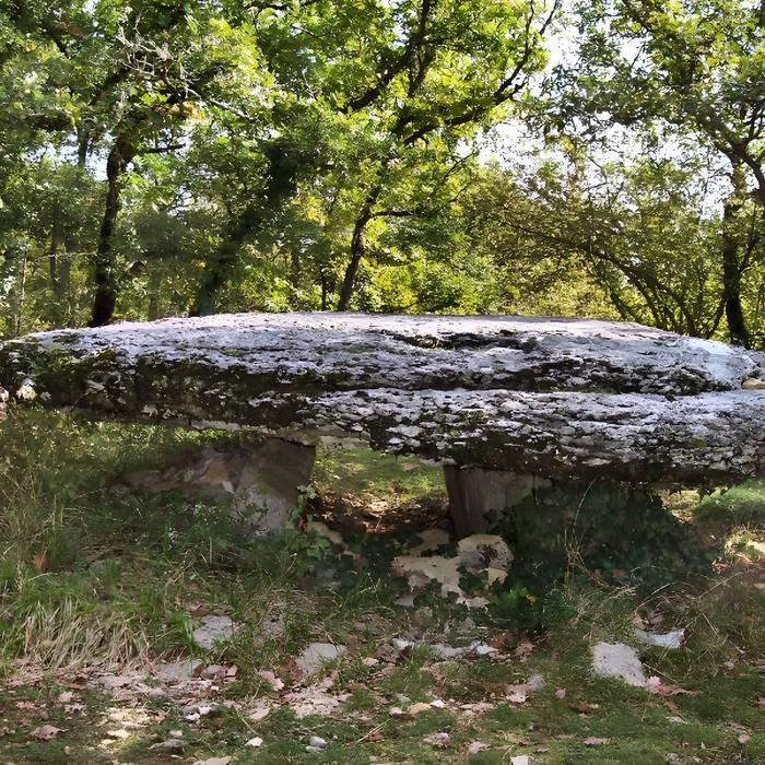 Photo de Dolmen