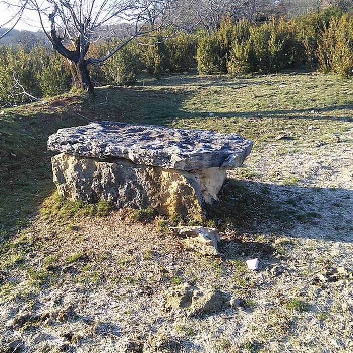Photo de Dolmen dit Peyro Cotado