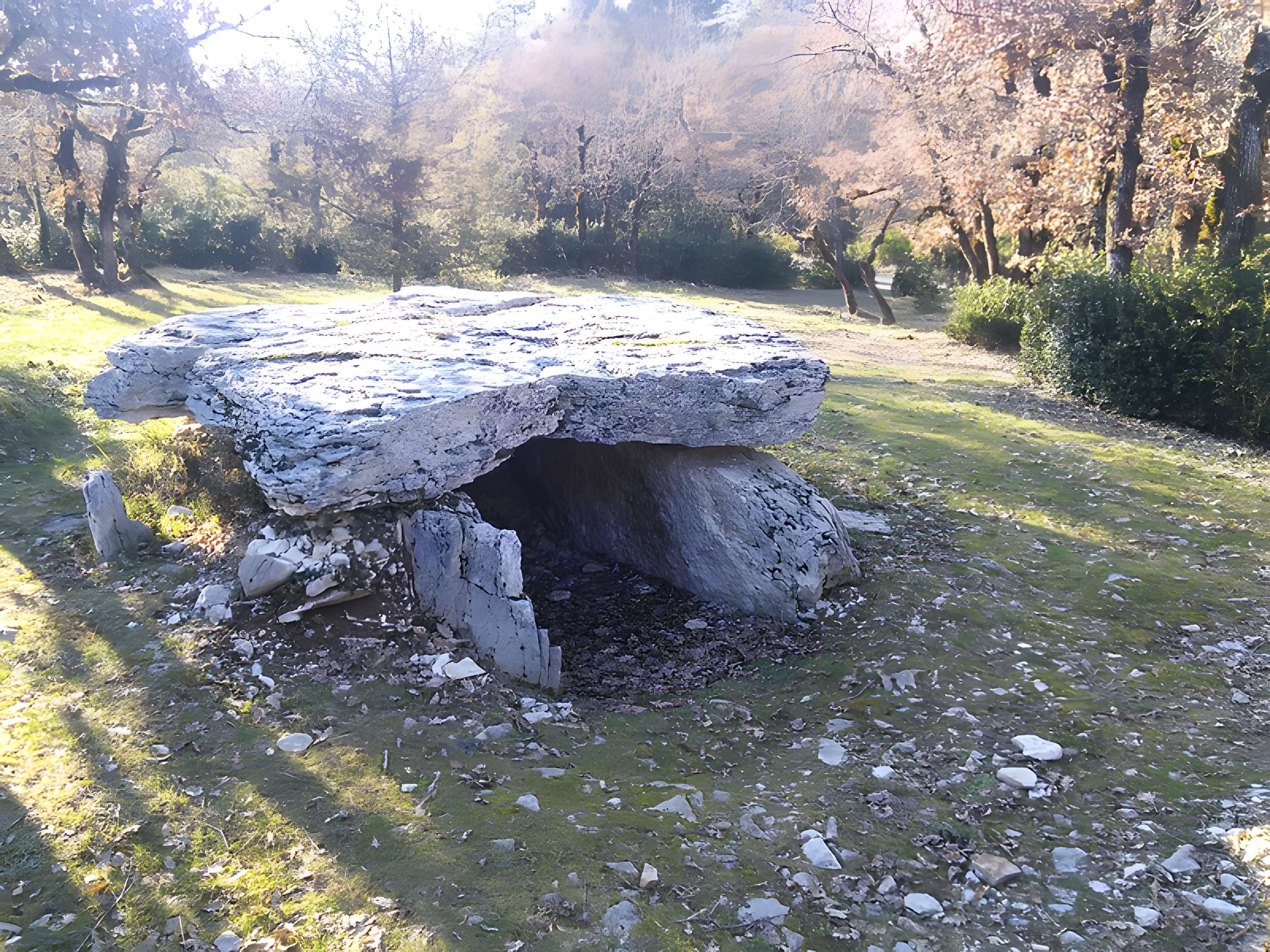 Dolmen dit Peyro Cotado