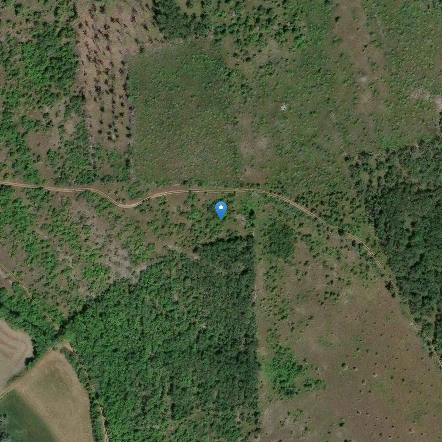 Photo de Archeologische site van de Dolmen de Surgès