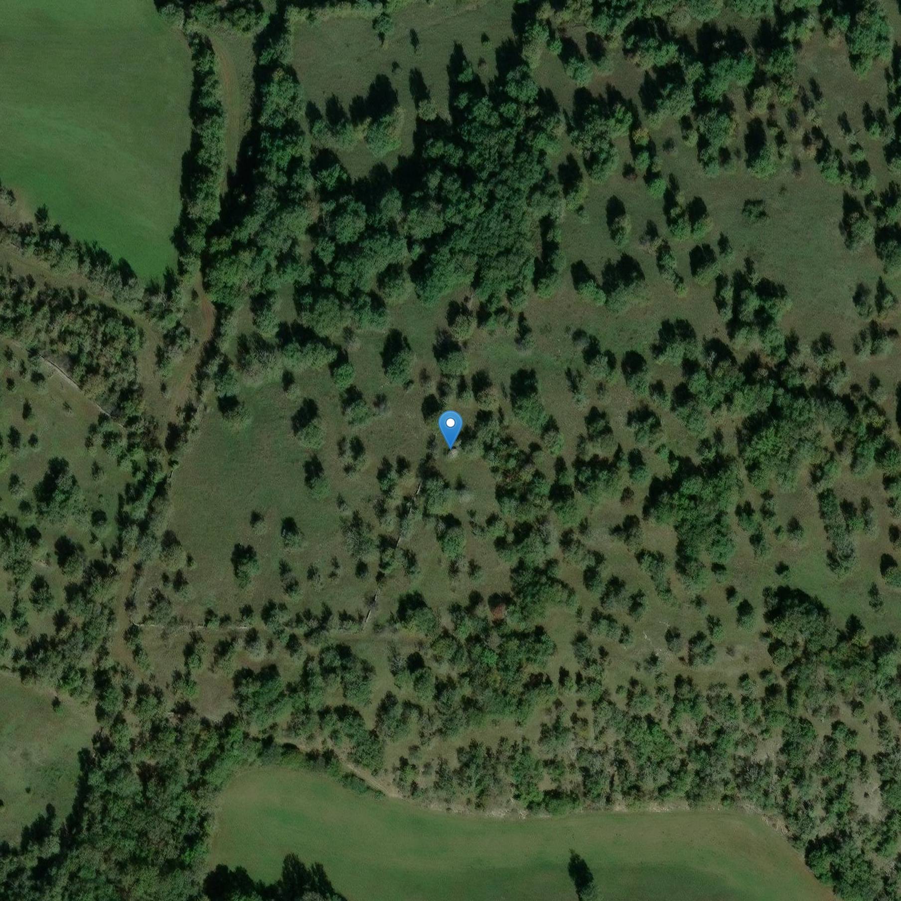 Photo de Dolmen dice il Pierre Levée