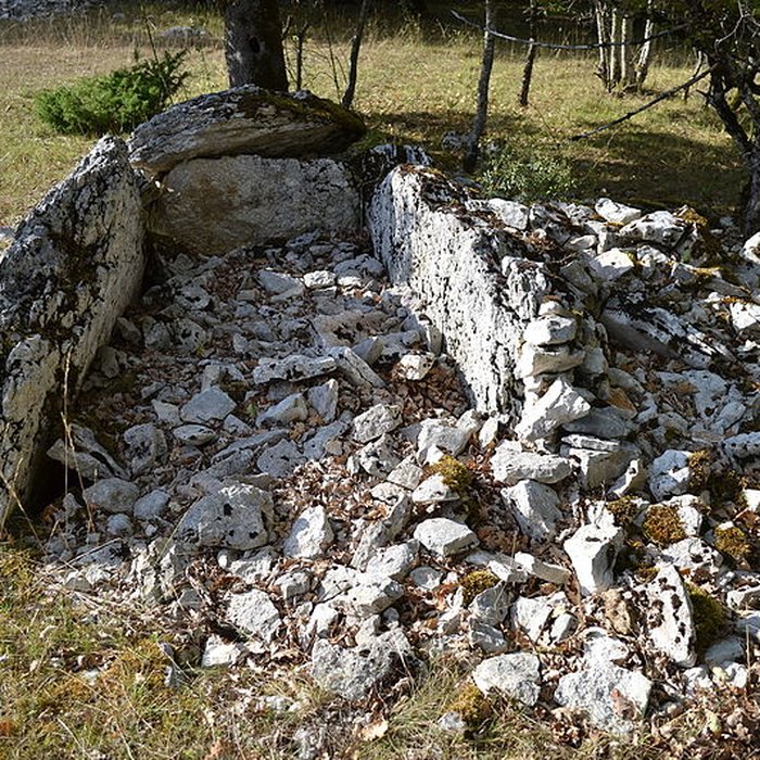Photo de Site archéologique du dolmen de Combe de Saule n 2
