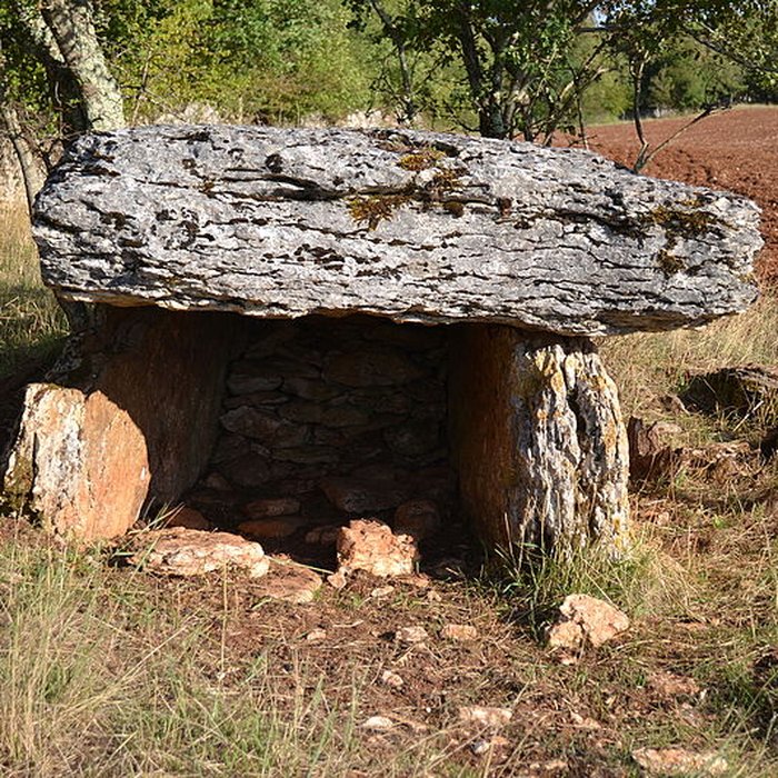 Photo de Site archéologique du dolmen de Combe de Saule n 2