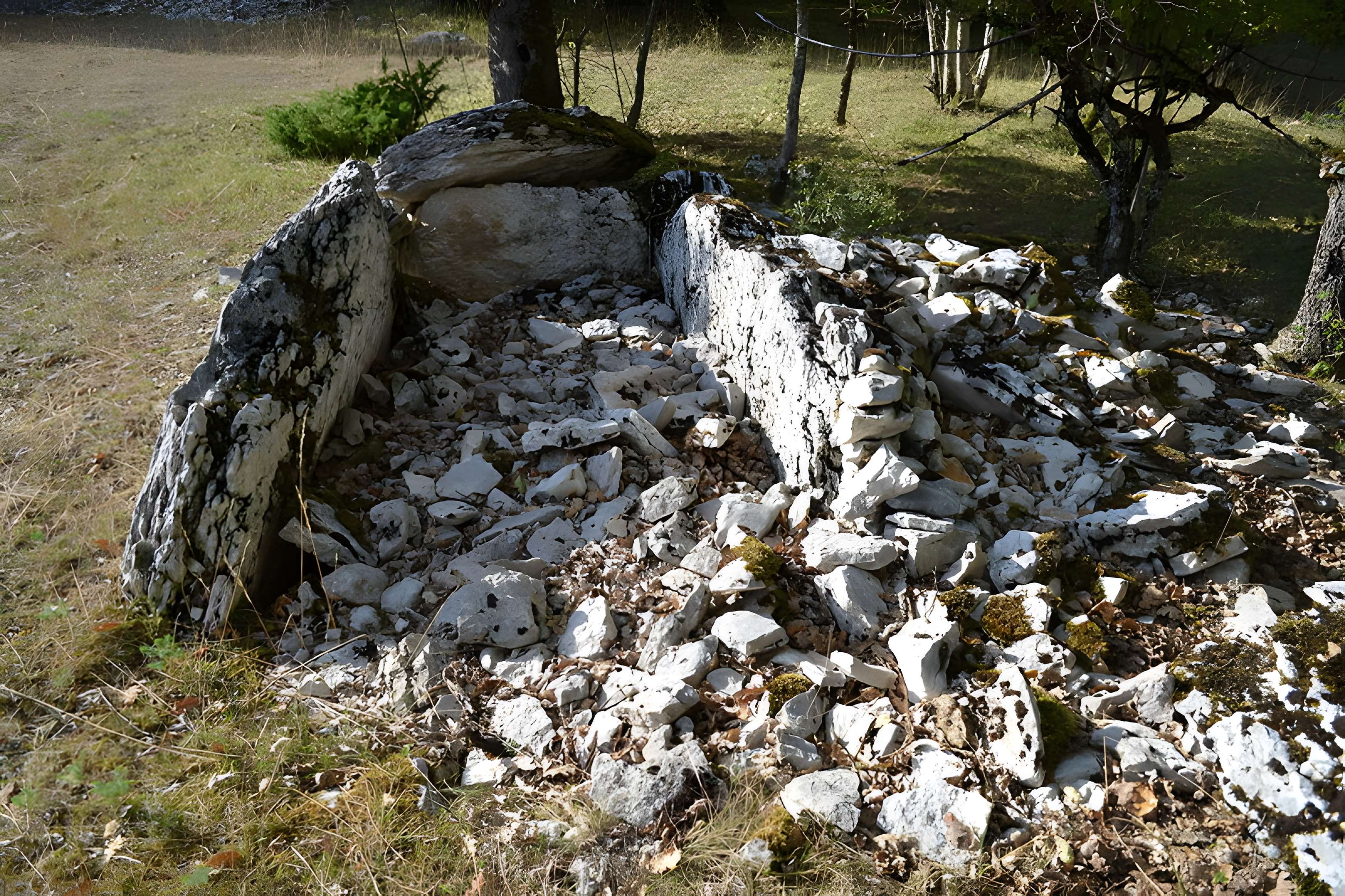 Site archéologique du dolmen de Combe de Saule n° 2