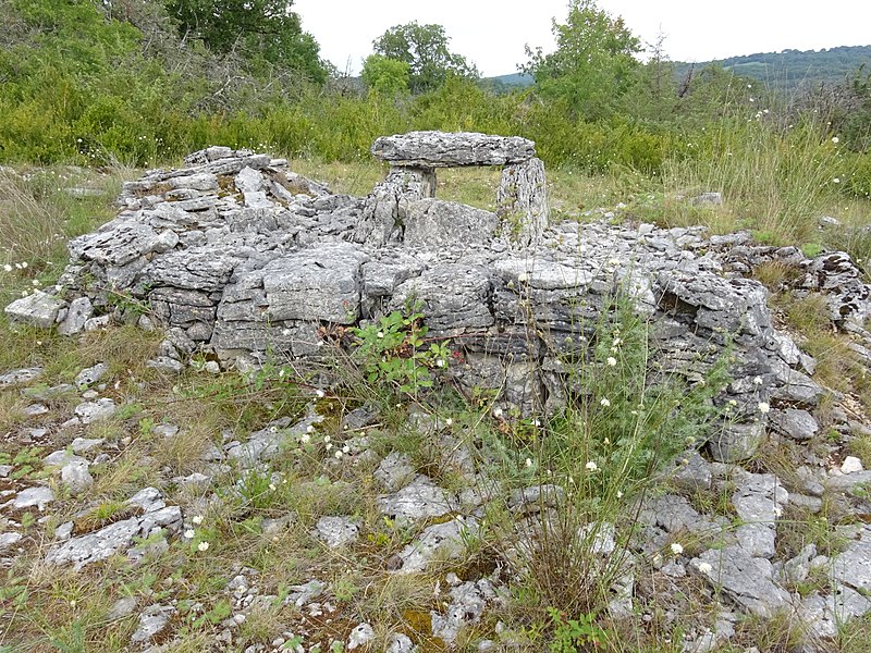 Photo de Site archéologique du dolmen de la Devèze-sud