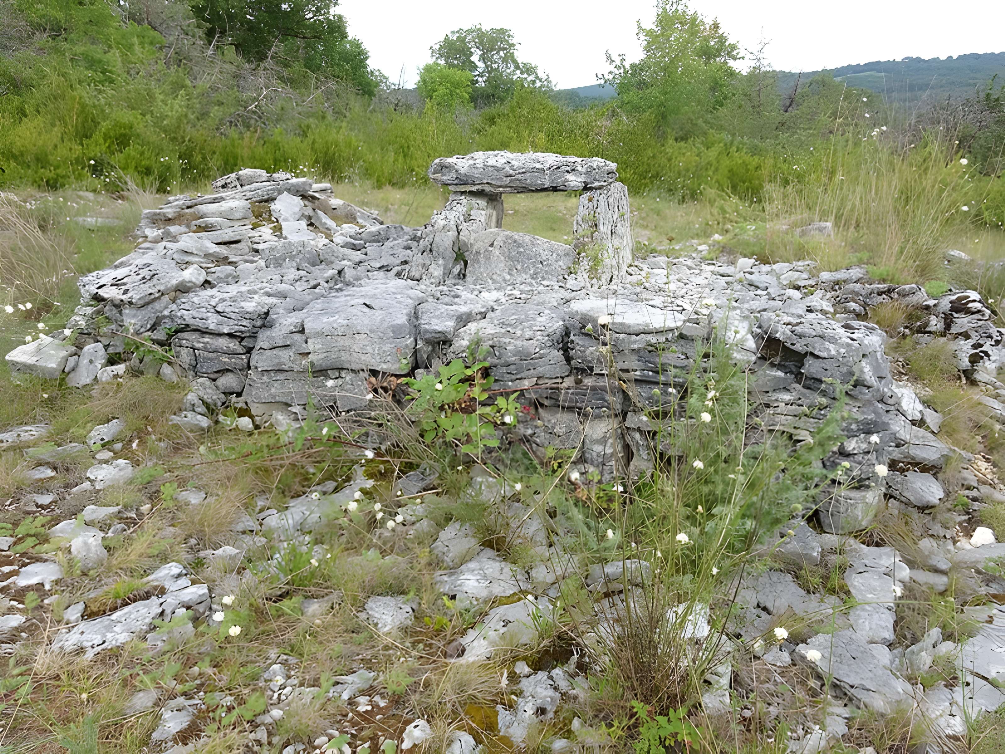 Site archéologique du dolmen de la Devèze-sud