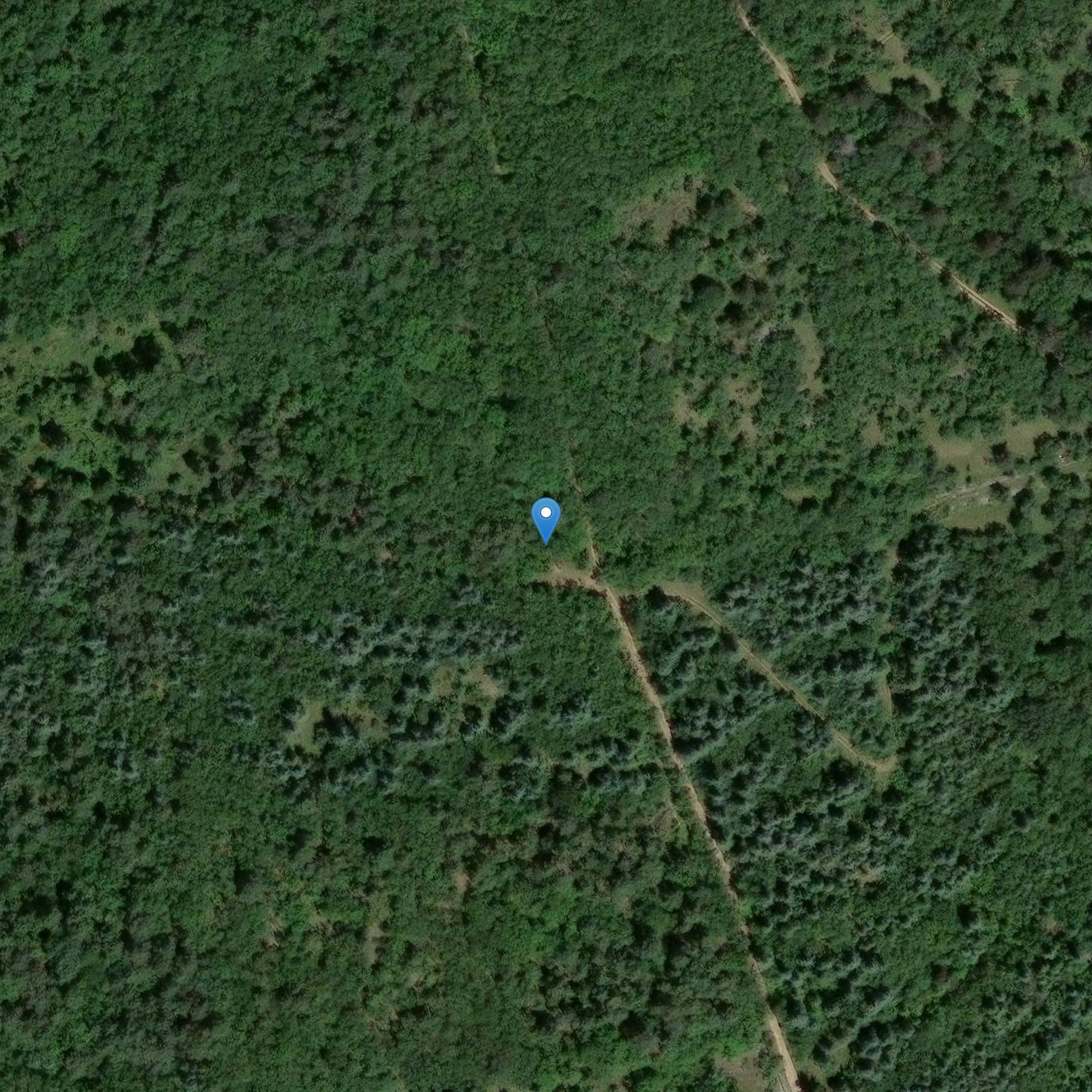 Photo de Dolmen de la Bertrandoun