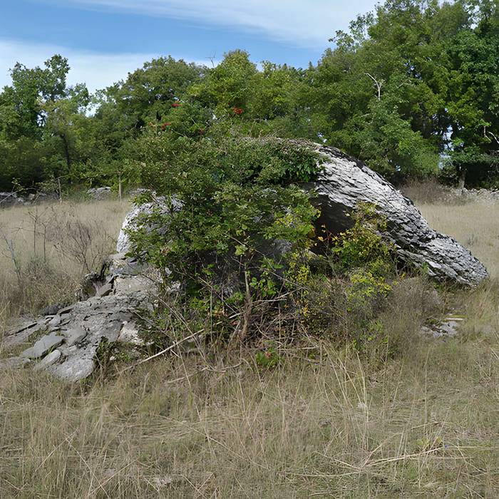 Photo de Dolmen de Dirau