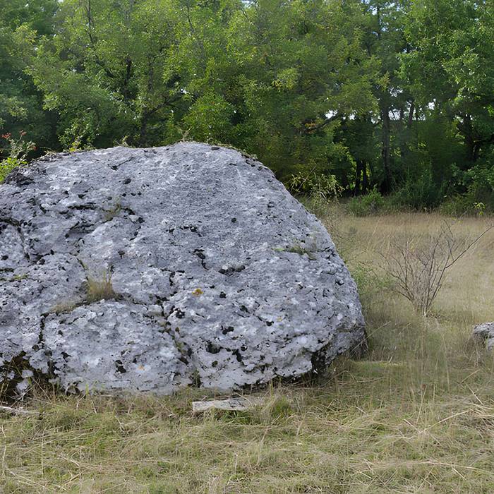 Photo de Dolmen de Dirau