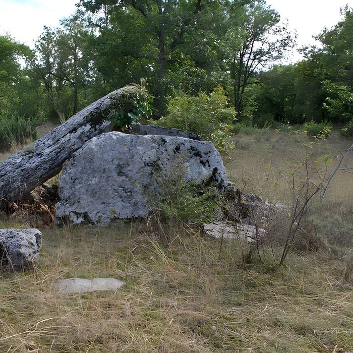 Photo de Dolmen de Dirau