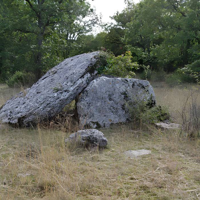 Photo de Dolmen de Dirau