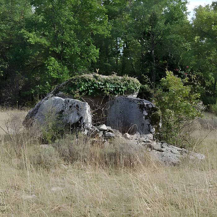 Photo de Dolmen de Dirau