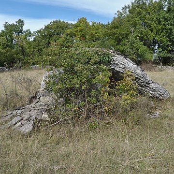 Dolmen de Dirau