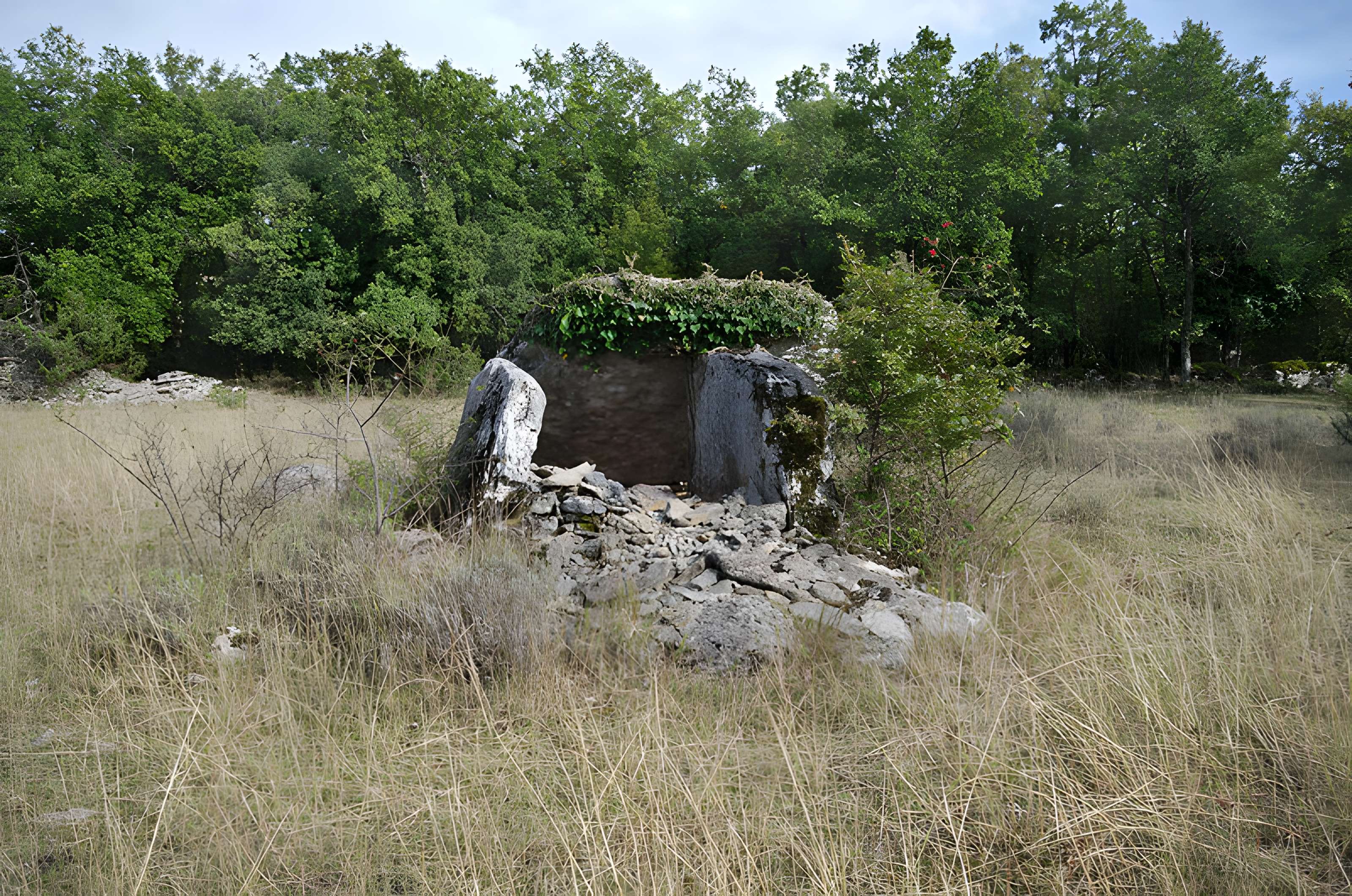 Dolmen de Dirau