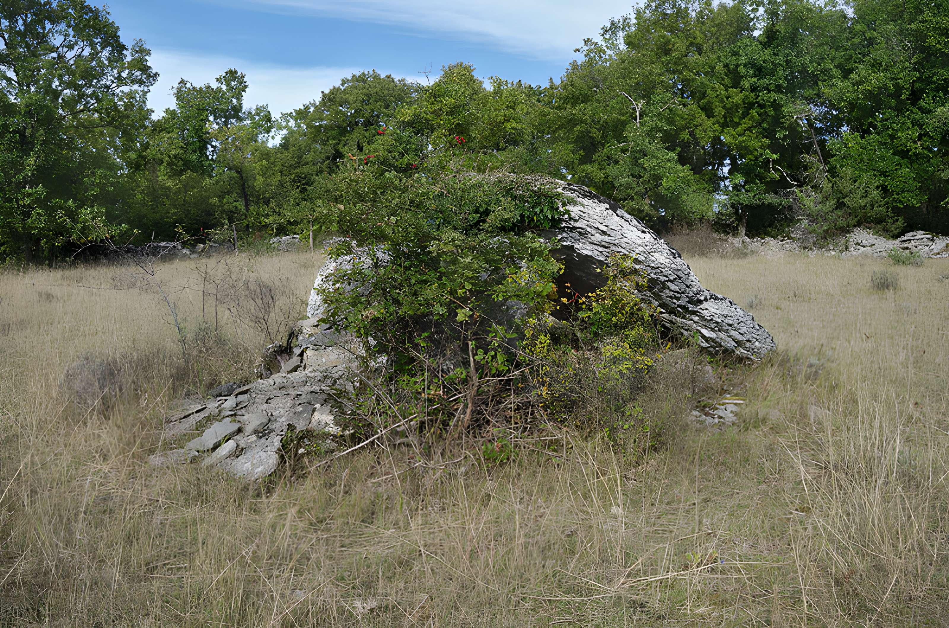 Dolmen de Dirau