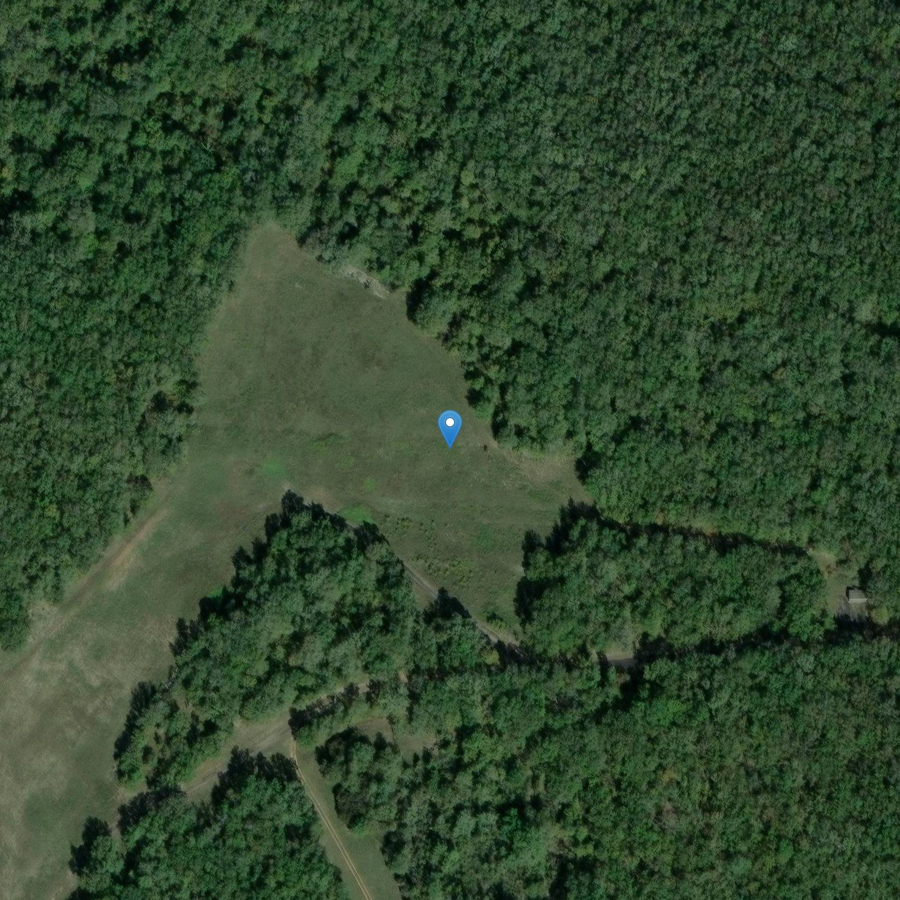 Photo de Dolmen dit Les Clos Grands