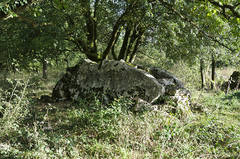 Photo de Dolmen dit de Crouzeilles
