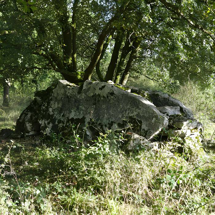 Photo de Dolmen dit de Crouzeilles