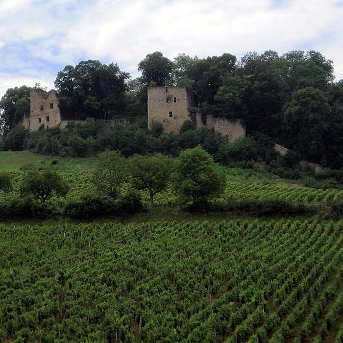 Photo de Château dArlay