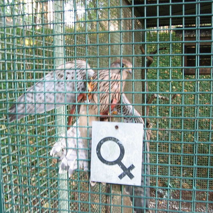 Photo de Château dArlay