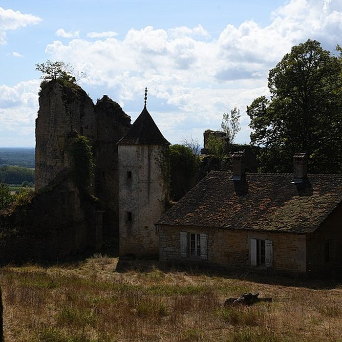 Photo de Château dArlay