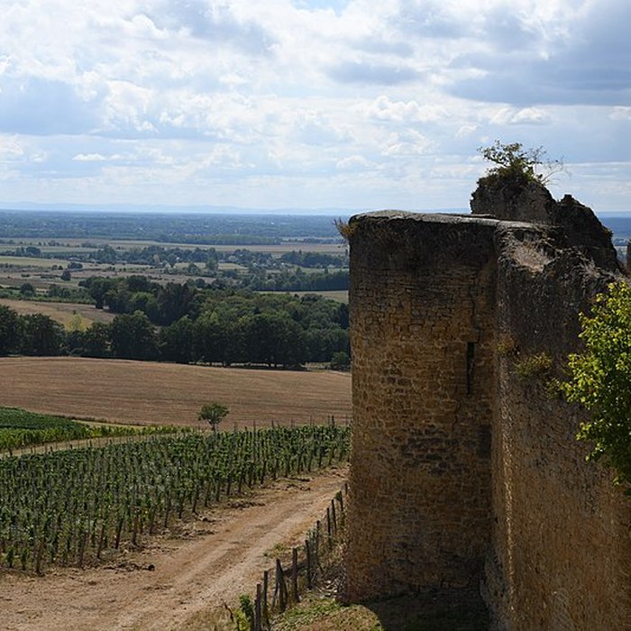Photo de Château dArlay