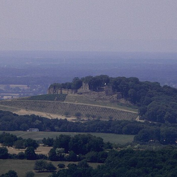 Photo de Château dArlay