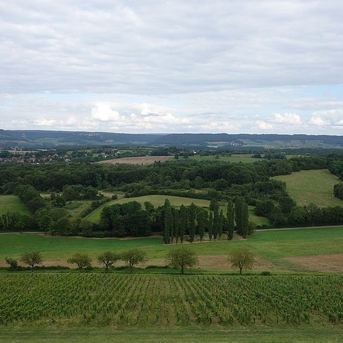 Photo de Château dArlay