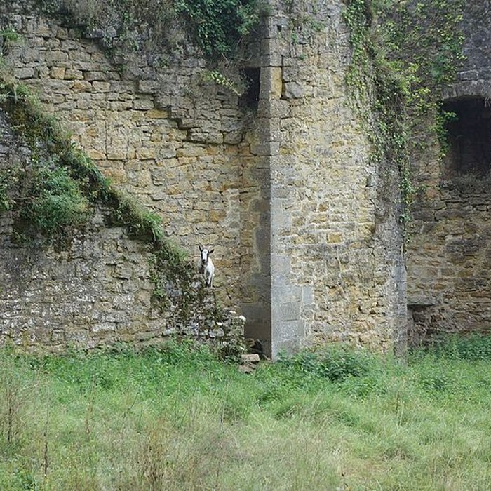 Photo de Château dArlay