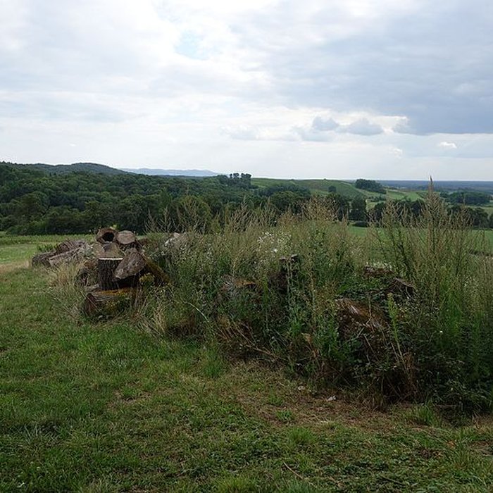 Photo de Château dArlay