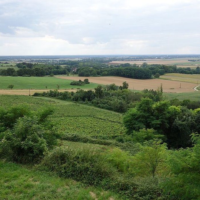 Photo de Château dArlay