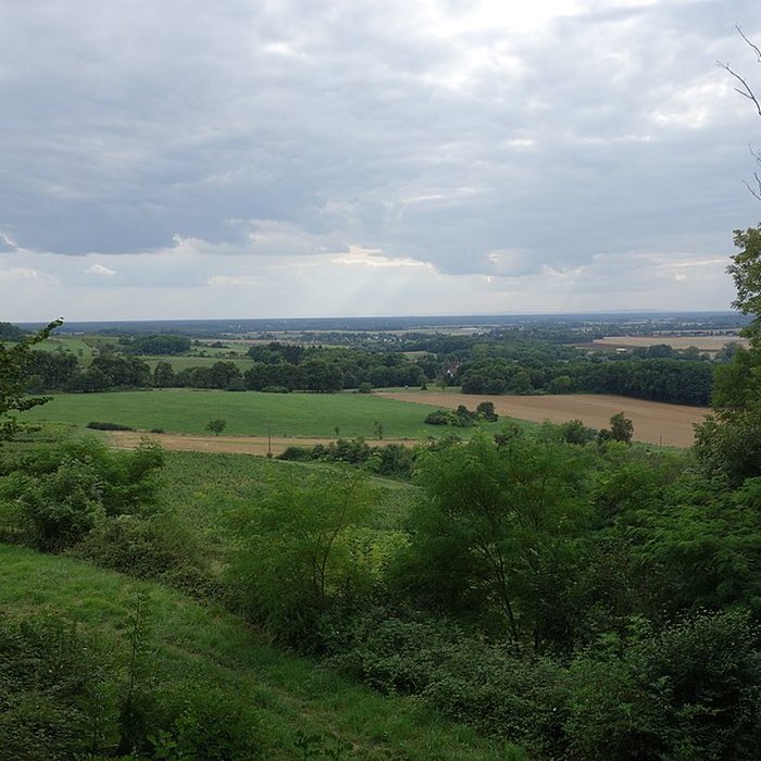 Photo de Château dArlay