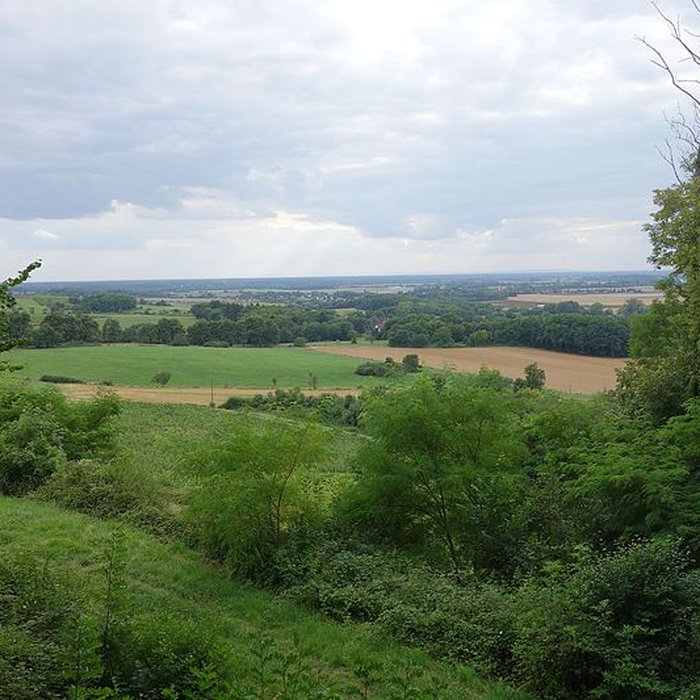 Photo de Château dArlay