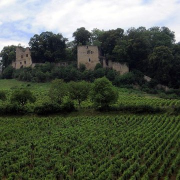 chateau d arlay