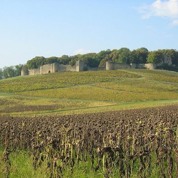 Château dArlay