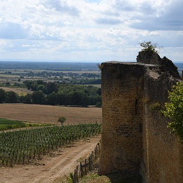 Château dArlay