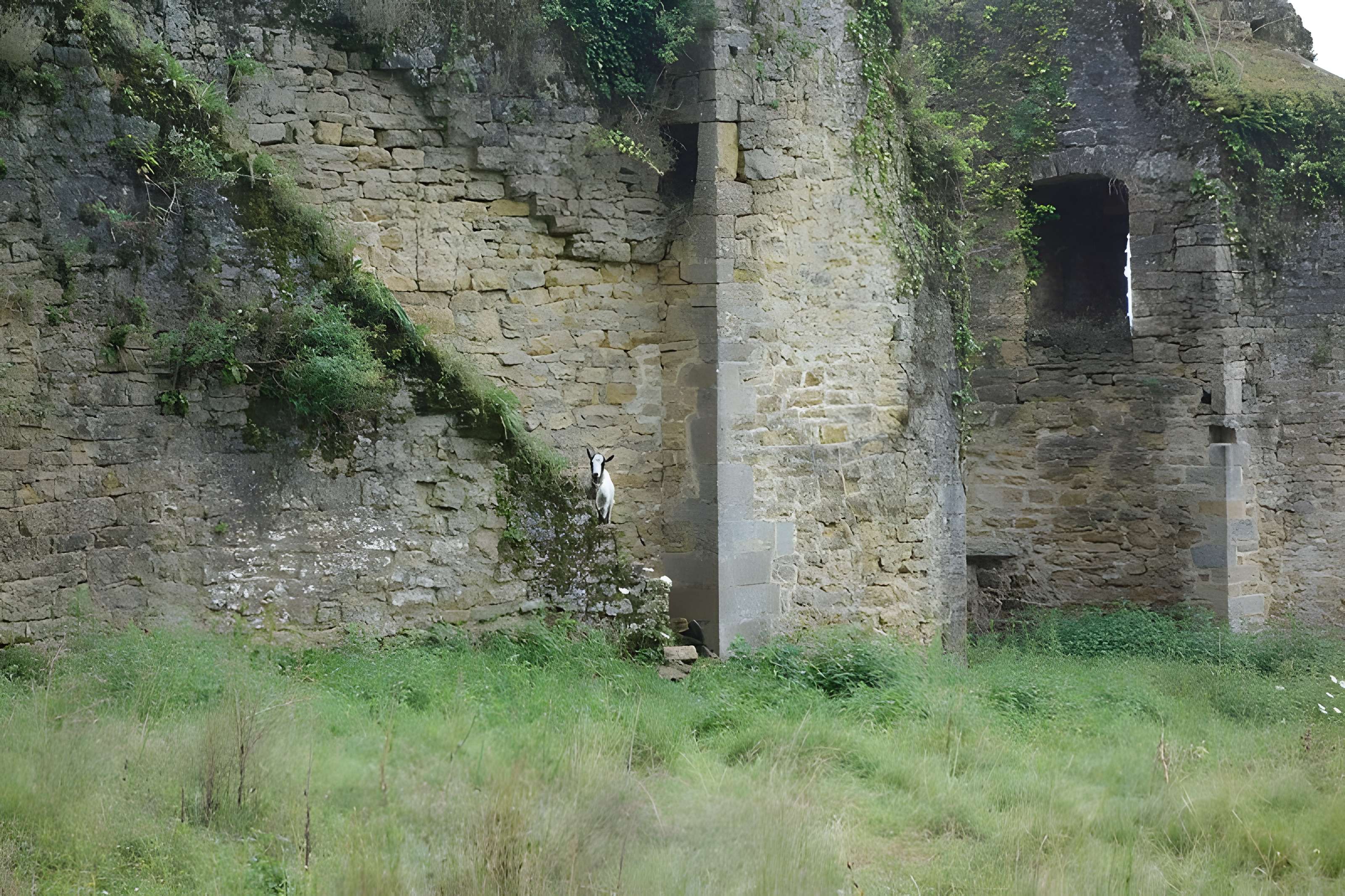 Château d'Arlay
