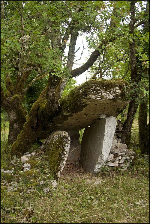 Photo de Dolmen des Agars