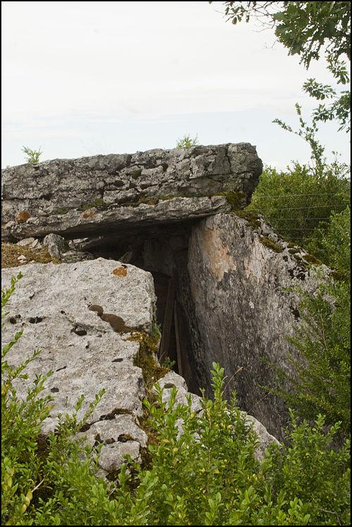 Photo de Dolmen du Mas de Pezet