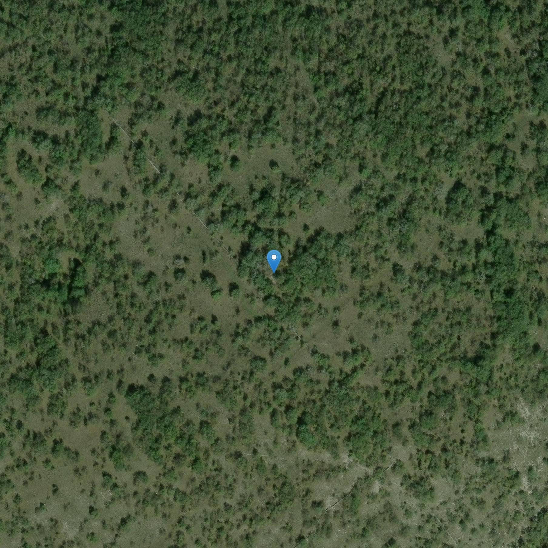 Photo de Dolmen de la Pierre Levée du Cloup Prioun