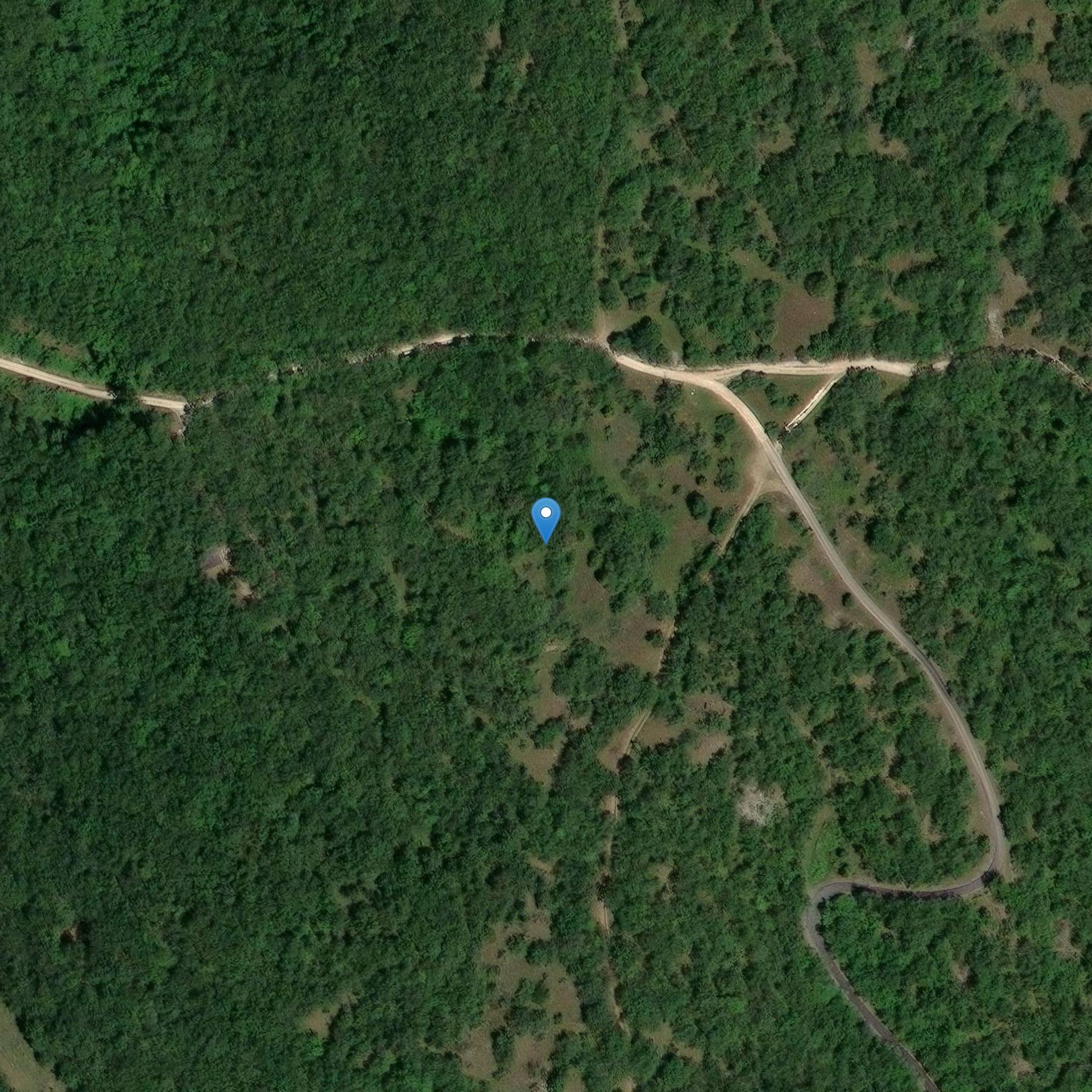 Photo de Dolmen Laval または Tumulus Laval と呼ばれる集合葬