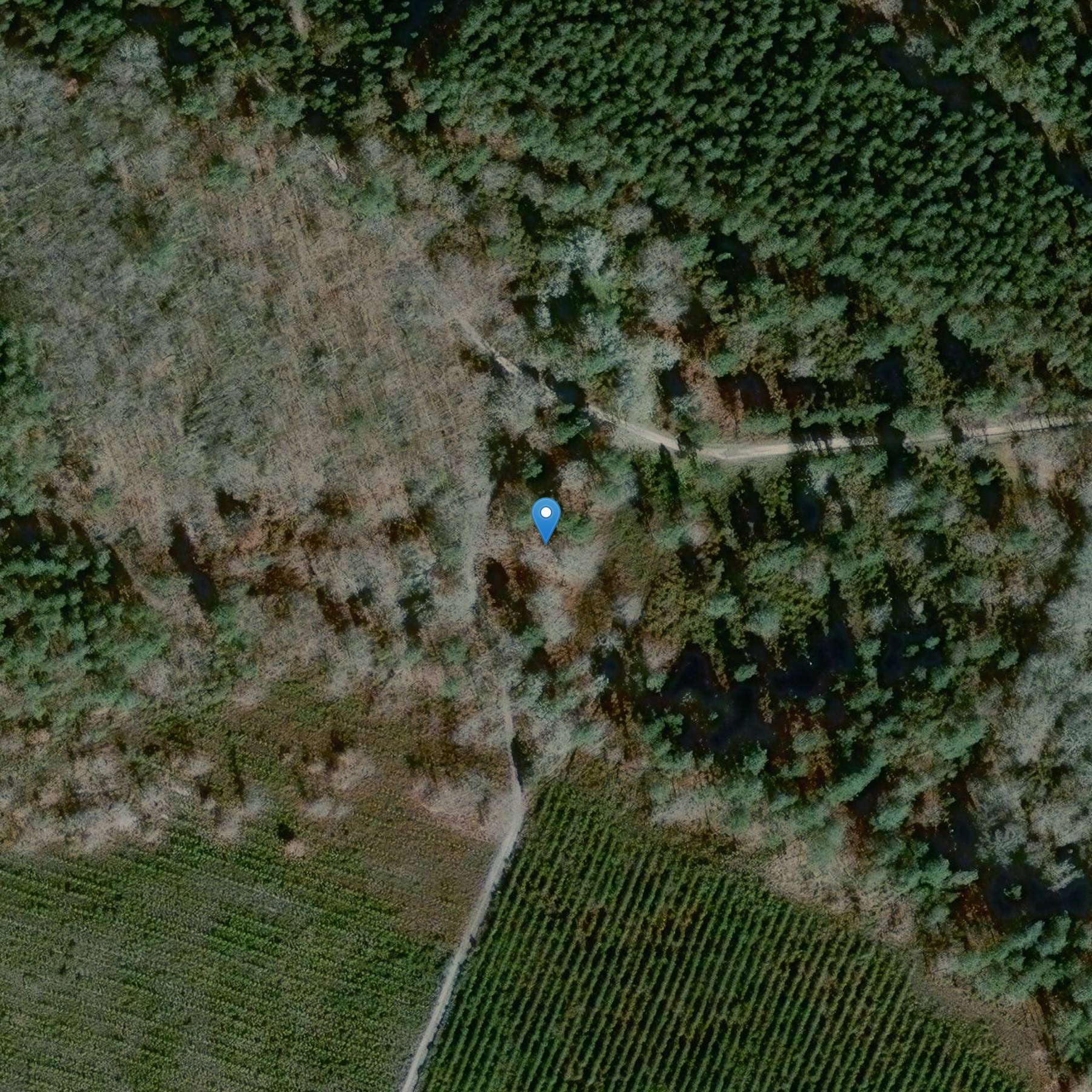 Photo de Dolmetscher