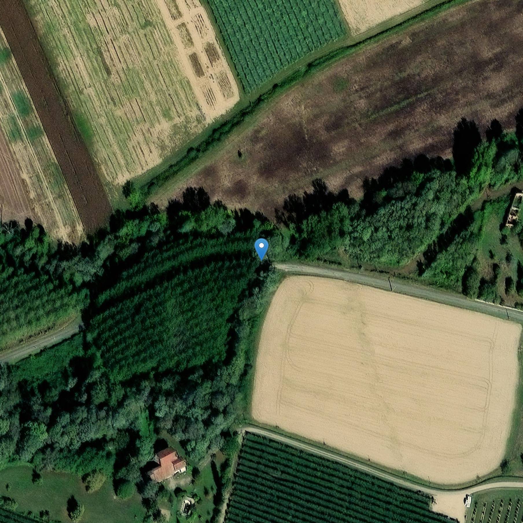 Photo de 通往帕拉维斯拱桥